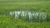 dscf7324.jpg