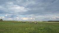 dscf7350.jpg