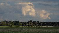dscf7356.jpg