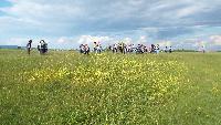 dscf7368.jpg