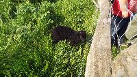 dscf7413.jpg
