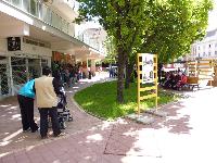 p1000068.jpg