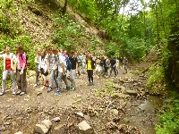 p1120006.jpg