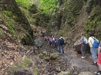 p1120040.jpg