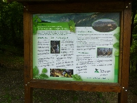 p1120100.jpg
