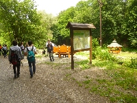 p1120104.jpg
