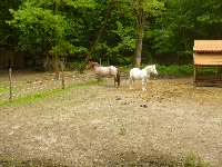 p1120106.jpg
