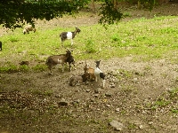 p1120107.jpg