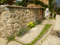 p1120110.jpg