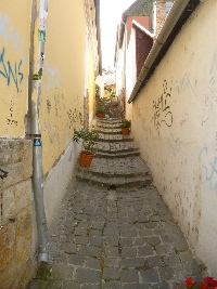 p1120134.jpg