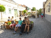 p1120138.jpg