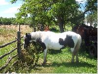 101_3194.jpg