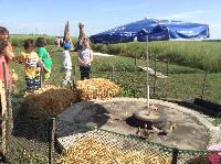 img_1100.jpg