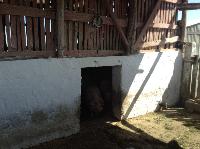 img_1119.jpg