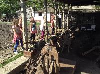 img_1120.jpg