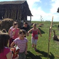 img_1127.jpg