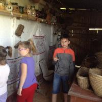 img_1135.jpg