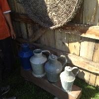 img_1151.jpg