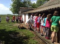 img_1169.jpg
