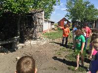 img_1178.jpg