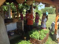 img_1196.jpg