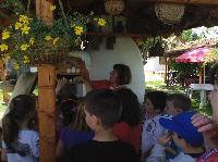 img_1199.jpg