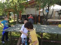 img_1238.jpg