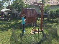 img_1245.jpg