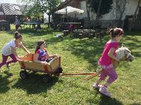 img_1251.jpg