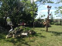 img_1263.jpg
