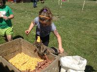 img_1272.jpg