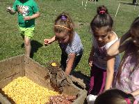 img_1274.jpg