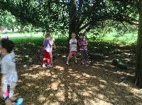 img_1381.jpg