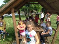 img_1388.jpg