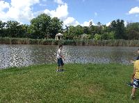 img_1394.jpg