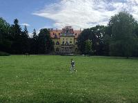 img_1421.jpg