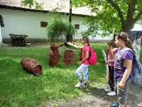 dscn0005.jpg
