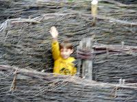 dscn9878.jpg