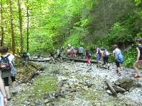 p1120433.jpg