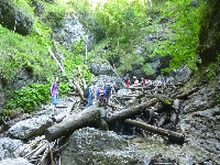 p1120440.jpg
