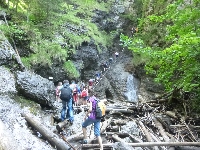 p1120441.jpg