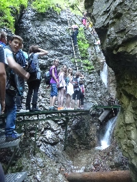 p1120456.jpg