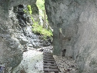 p1120488.jpg