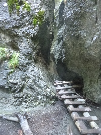 p1120494.jpg