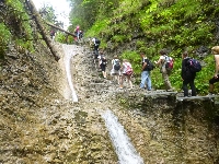 p1120500.jpg