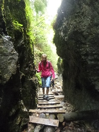 p1120520.jpg