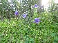 p1120534.jpg