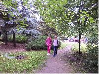 asam_0480.jpg