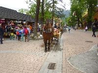 p1120595.jpg