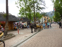 p1120596.jpg